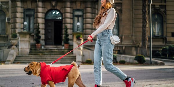 Young woman walking her dog in a red hoodie on a city street.