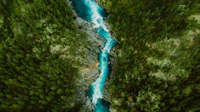 A vibrant blue river cuts through lush green forest from an aerial view.