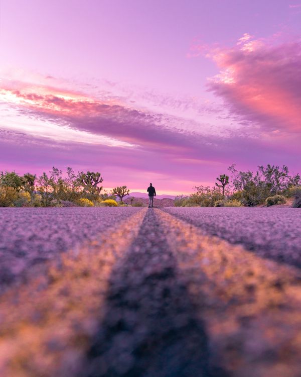 Person walking alone on a road during a vibrant purple sunset.