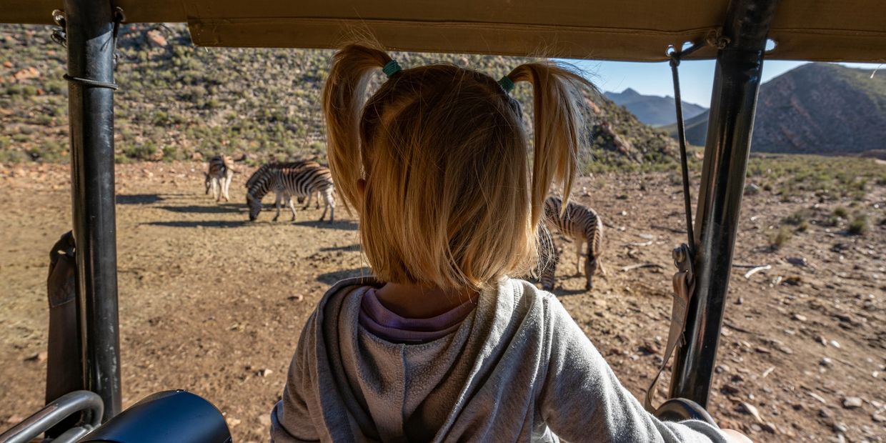 Child on safari jeep watching zebras in a rocky landscape.