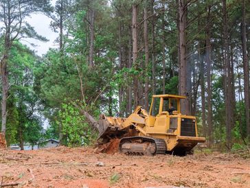 Bulldozer clearing brush in a wooded area.