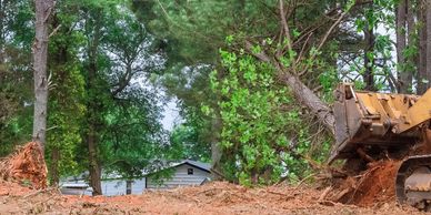 Skid Steer Land Clearing Tree Removal Brusch Clean Up