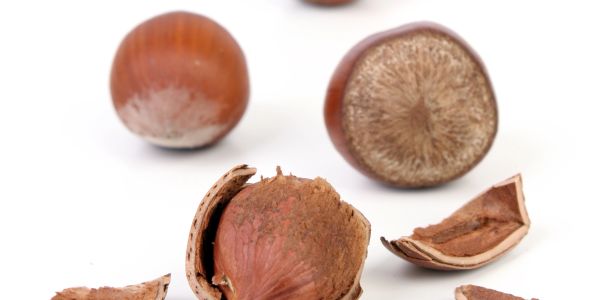 Close-up of hazelnuts with cracked shells on white background.