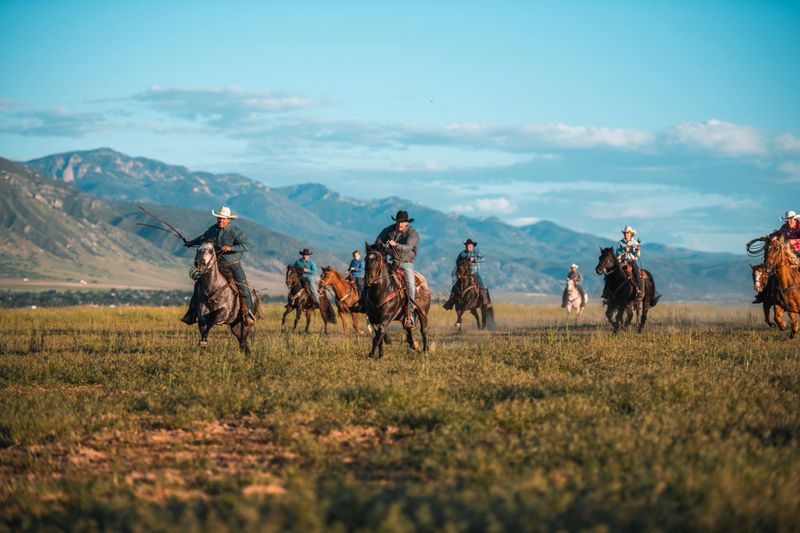 Action shot of friends horseback riding in the open field, their horses are running fast. Outdoor shot of active cowboys and cowgirls having a blast together.