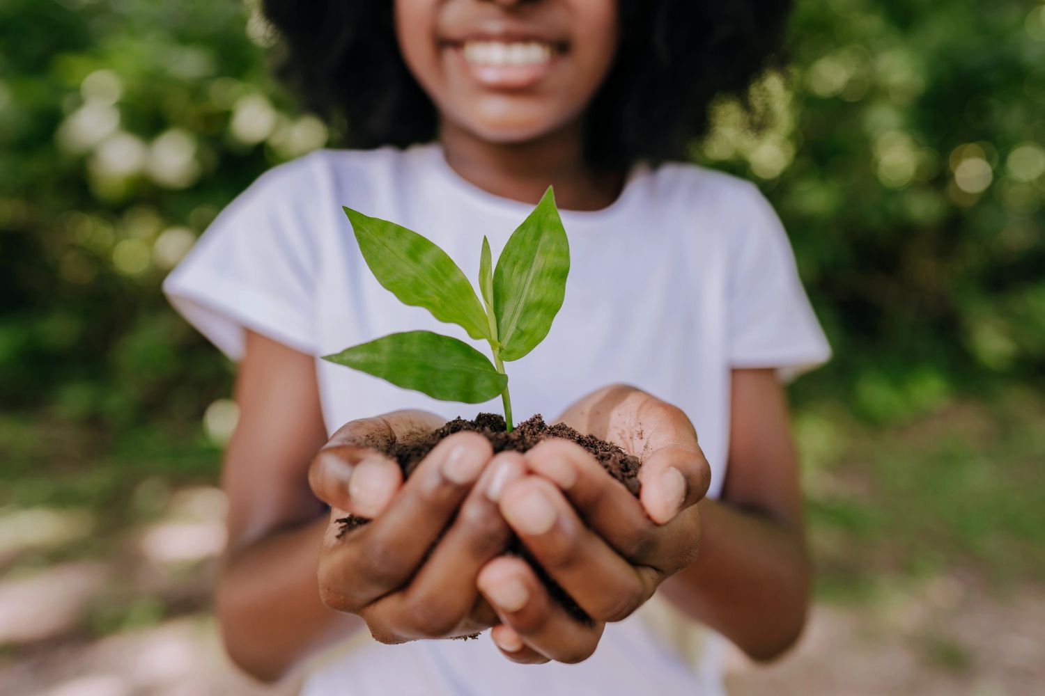Person holding a young plant with soil.