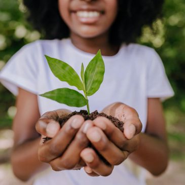Person holding a small plant in soil.