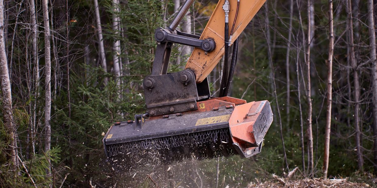 Excavator attachment mulching trees in a forest clearing.