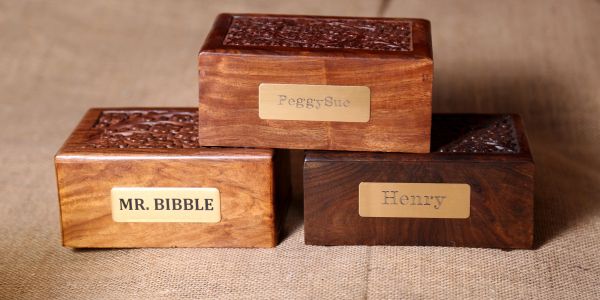 Three wooden boxes with nameplates: Peggy-Sue, MR. BIBBLE, and Henry.