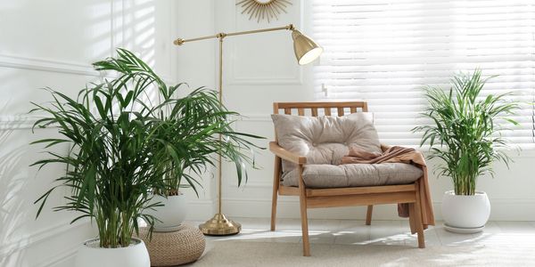 A clean house after the house cleaners have cleaned it, leaving it very clean wth their professionalc