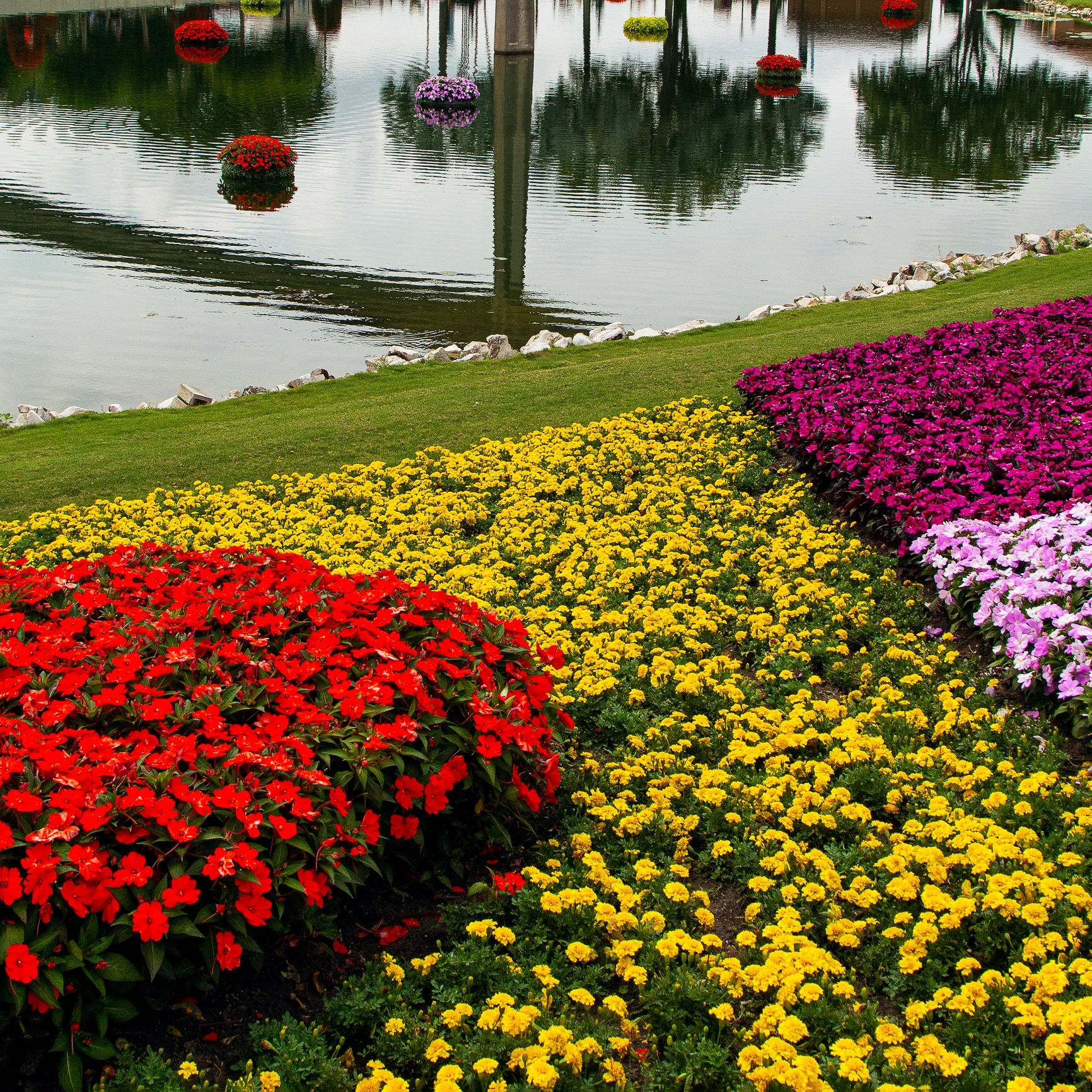 Vibrant flowerbeds and floating blooms adorn a serene pond and grassy banks.