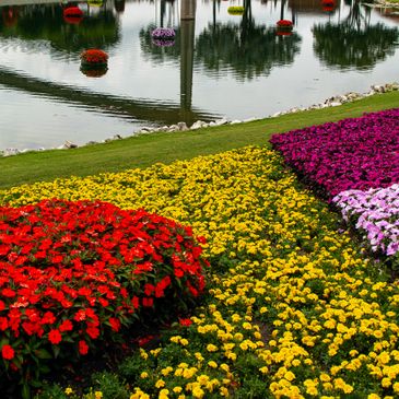 Colorful flower beds in full bloom beside a reflective pond.