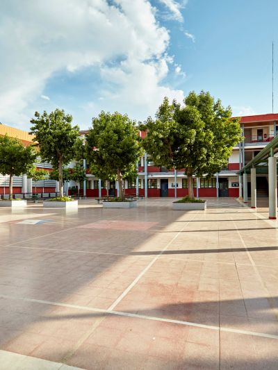 Sunny school courtyard with trees and red buildings.