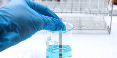 Gloved hand dipping a pH test strip into blue liquid in a beaker.