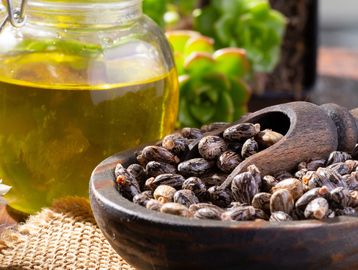 castor beans in wooden bowl with glass jar filled with castor oil