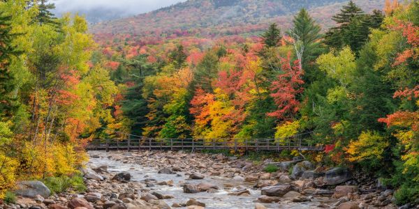 Autumn forest with a rocky river and colorful trees.