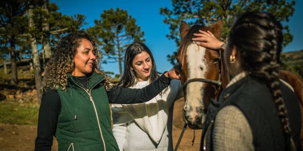 Three women petting a brown horse outdoors.