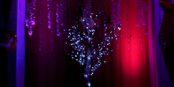 Decorative tree illuminated with white lights against purple and red backdrop.