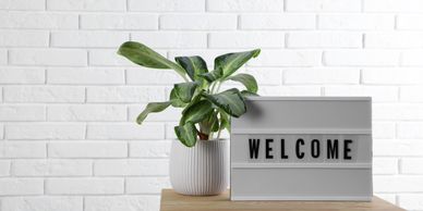 Green plant next to a lightbox with the word 'WELCOME' on a wooden table.