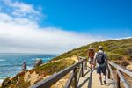 Guided Coastal Adventures