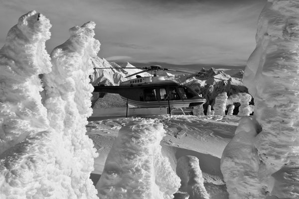 Heli Skiing, Ski Patrol Management, Ski Patrol Management Software, Ski Guide Team Management