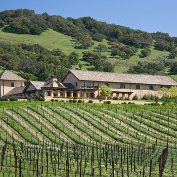 Vineyard with a rustic building and green hills.
