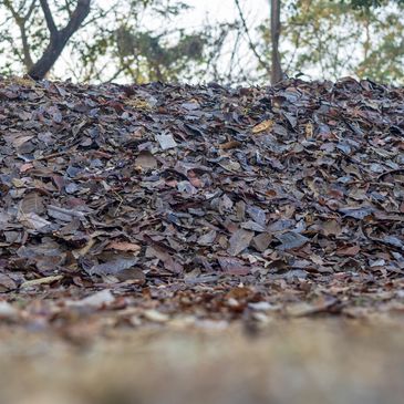 Roof debris, messy roof
