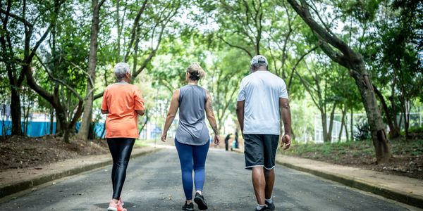 Three people walking together on a tree-lined path in a park.