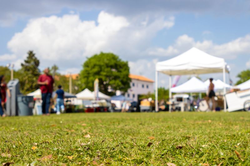 People walk around tents at an outdoor festival in a public park.