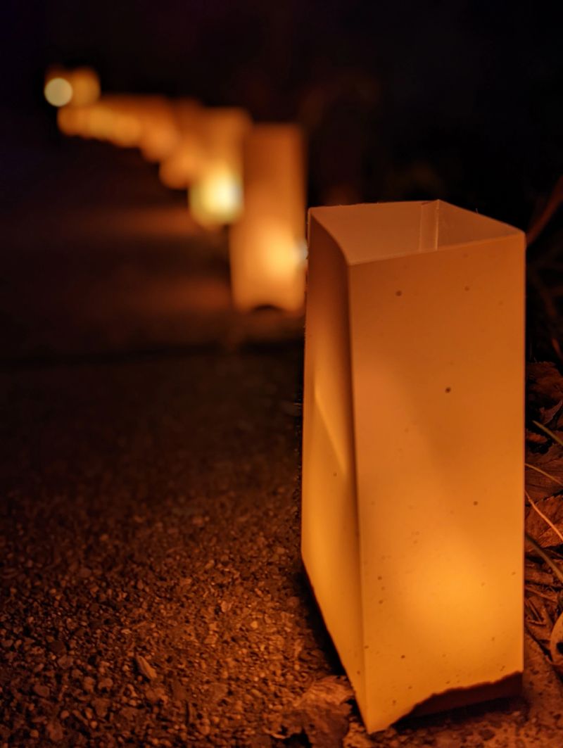 Lantern Garden Nightscape