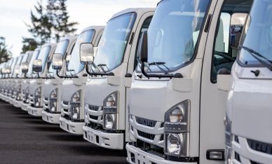 Row of white trucks lined up.