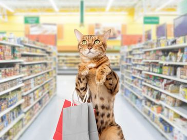 Coming Soon- Purchase Products that feature Timothy and other Animal Welfare Services 