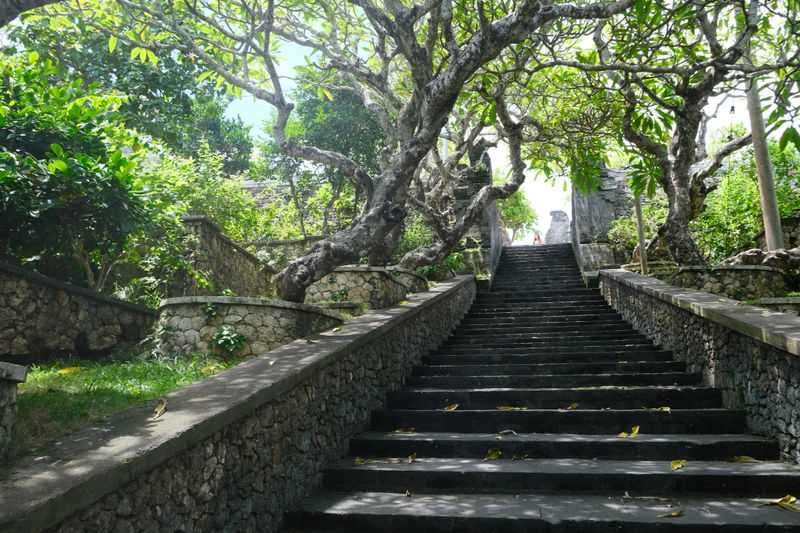 Stone staircase surrounded by vibrant greenery and tree growth