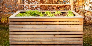 new raised garden bed