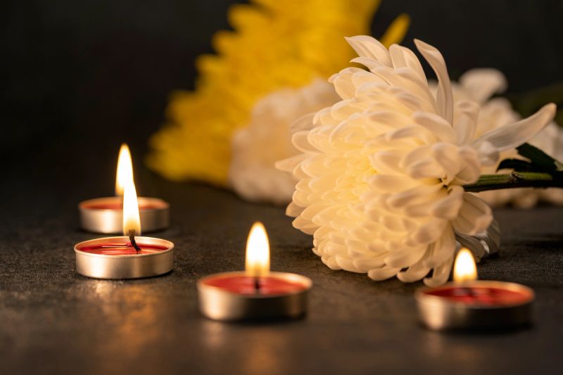Chrysanthemums used to offer sacrifices to ancestors