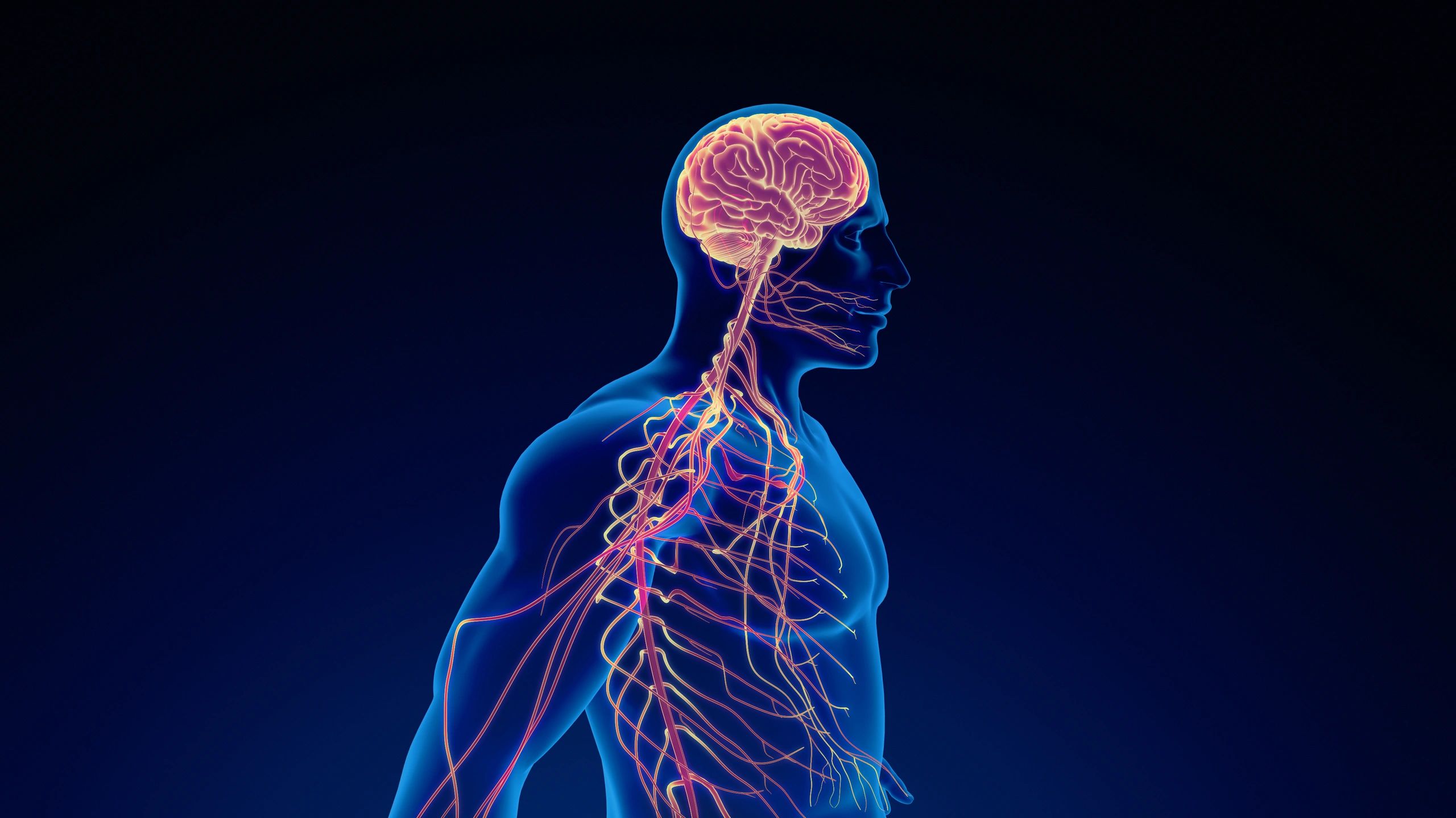 Quadratus stem cell clinics logo