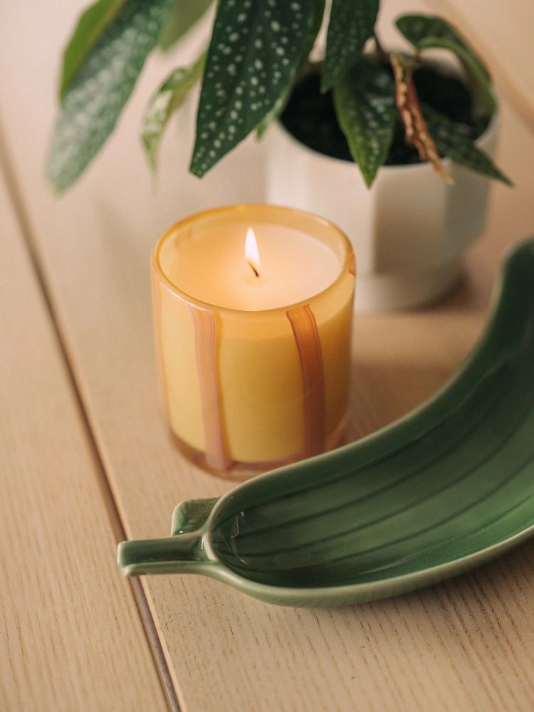 A lit candle in a yellow holder with a green leaf-shaped dish and a potted plant.
