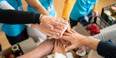 Team Collaboration