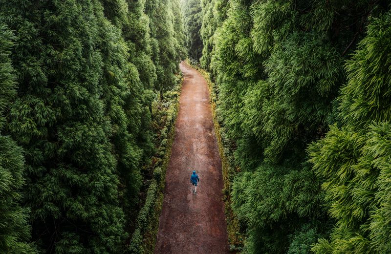 High angle view of a lonely man, walking throght the forest, on a rainy day with copy space