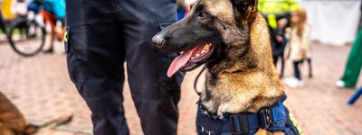 Dog and trainer fostering community and care.