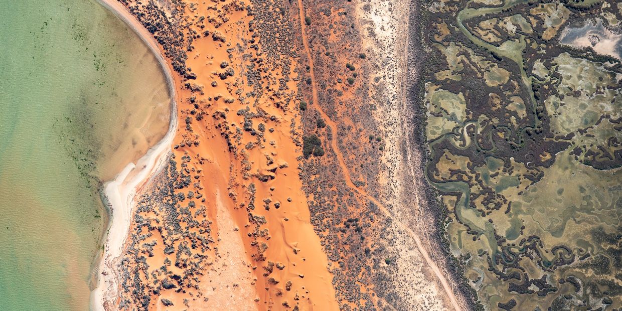 Aerial view of beach with green water, orange sand, and marshland.