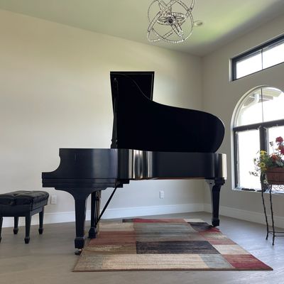 Elegant black grand piano in a bright room with a colorful rug and window.
