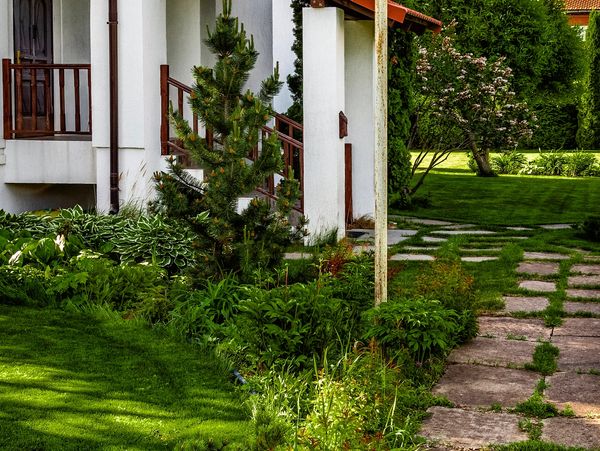Lush green garden with a stone pathway leading to a house porch.