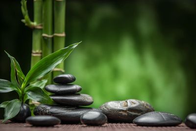 Bamboo and rocks