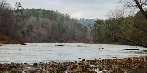 A calm river with rocky shore and leafless trees on an overcast day.