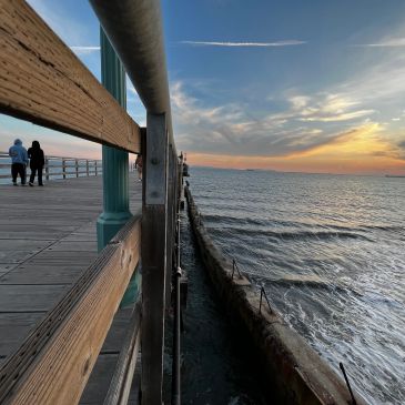 Things to do in Seal Beach, CA