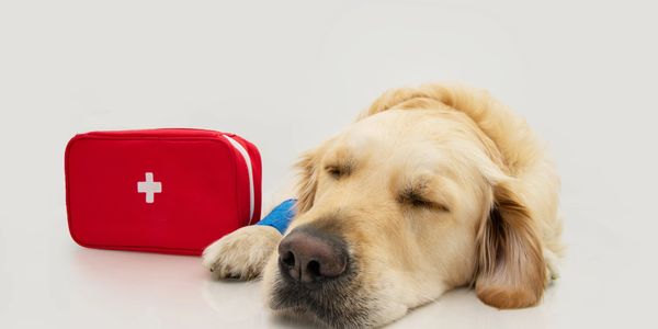 Do you know what to do in an emergency?