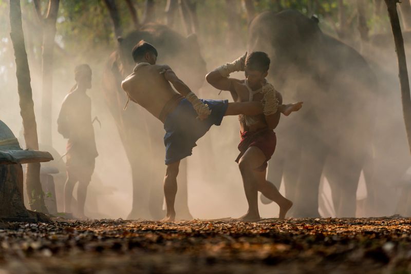 Moment of a two male muay thai practitioner demonstrating muaythai techniques and skill during sunset moments with a mahout and two elephants at the background