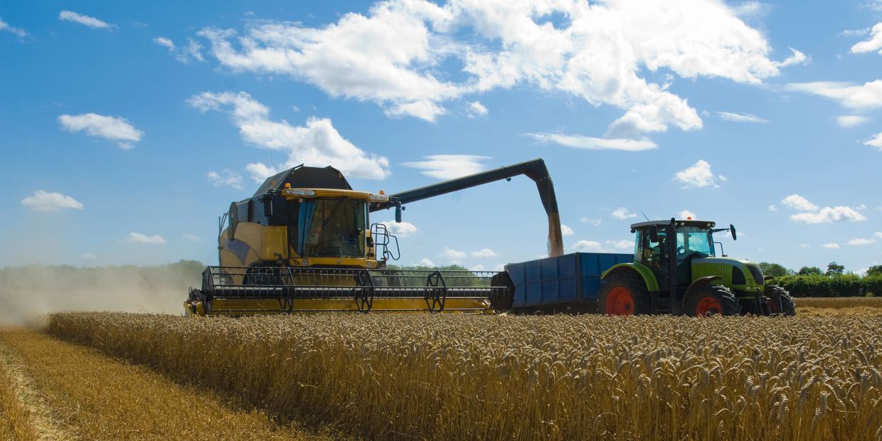 A combine harvester transfers grain into a tractor trailer in a wheat field under a blue sky.