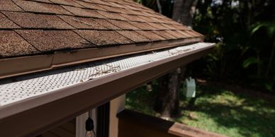 Clean, clog-free gutter with micro-mesh guard on a shingle roof