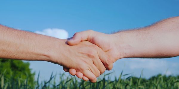 Licensing & Partnership Models